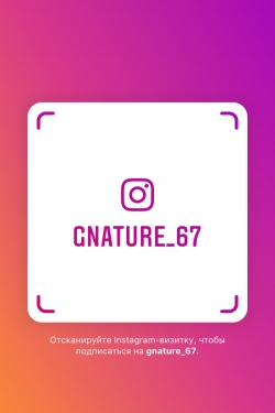 izobrazhenie_viber_2019-0